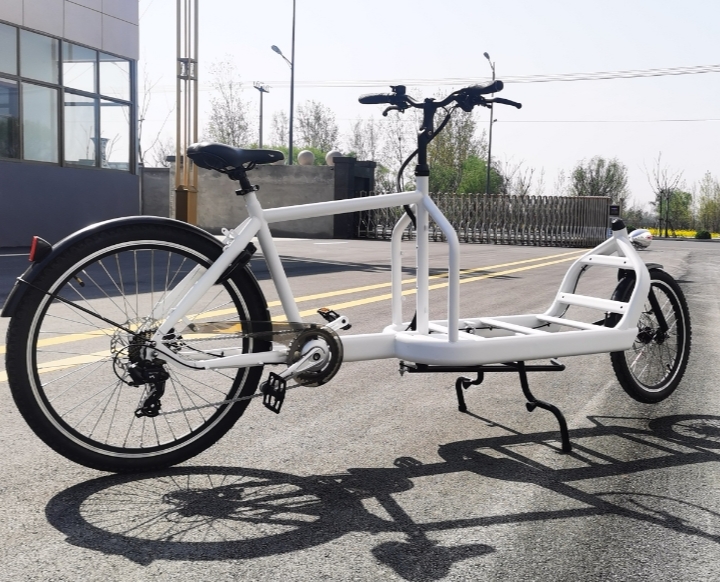 Efficient, Flexible, Eco-Friendly: The Three Key Benefits of Two-Wheel Cargo Bikes