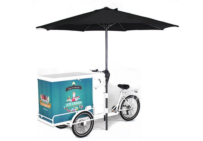 ice cream bike business